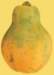c003037_small.jpg