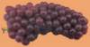 c003046_small.jpg