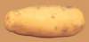 c003062_small.jpg