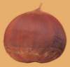c003099_small.jpg