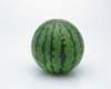 mil05021_small.jpg