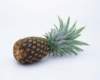 mil05027_small.jpg