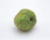 mil05031_small.jpg