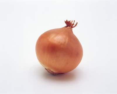 mil05045.jpg