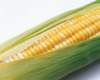mil05064_small.jpg