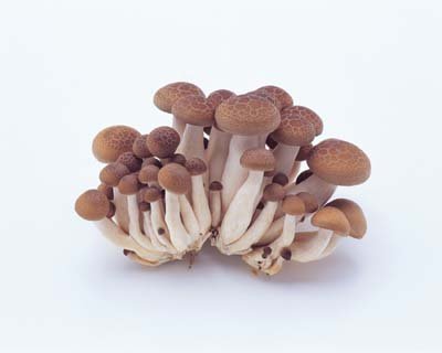 mil05071.jpg
