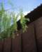 mil16051_small.jpg
