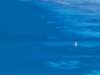 an_023_small.jpg