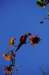 an_049_small.jpg