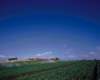 an_071_small.jpg