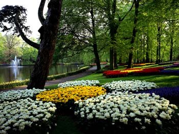 en_087.jpg
