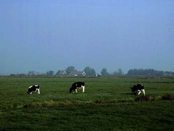 en_089.jpg