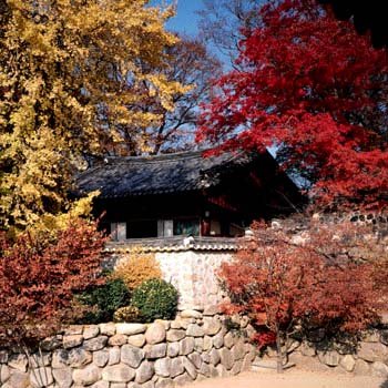 kr_019.jpg
