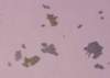 ib13006_small.jpg