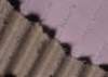 ib13011_small.jpg