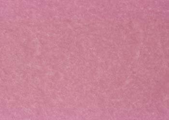 ib13033.jpg