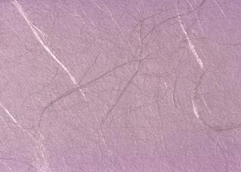 ib13054.jpg