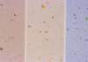 ib13060_small.jpg