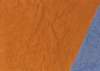 ib13098_small.jpg