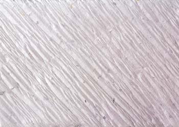 ib13117.jpg