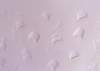 ib13121_small.jpg
