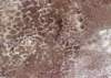 ib13130_small.jpg