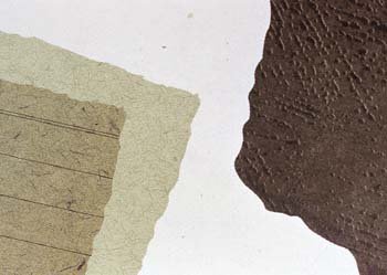 ib13135.jpg
