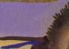 ib13185_small.jpg