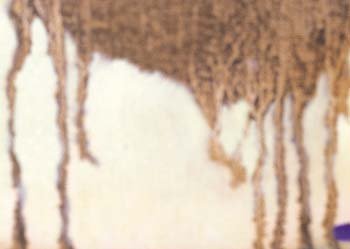 ib13187.jpg