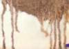 ib13187_small.jpg