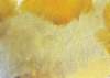 ib13196_small.jpg