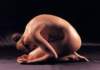 bo01089_small.jpg