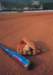 di69009_small.jpg
