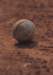 di69010_small.jpg