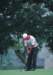di69021_small.jpg