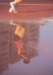 di69052_small.jpg