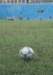 di69061_small.jpg