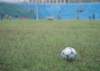 di69064_small.jpg