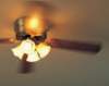 ip0719_small.jpg