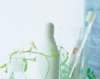 ip0722_small.jpg