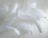ip0726_small.jpg