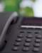 ip0748_small.jpg
