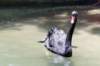 bdq010008_small.jpg