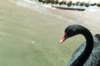 bdq010013_small.jpg