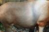 bdq010018_small.jpg