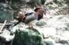 bdq010019_small.jpg