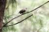 bdq010024_small.jpg