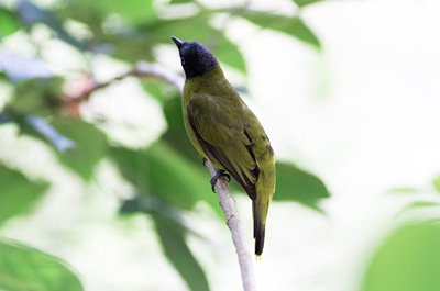 bdq010025.jpg