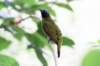 bdq010025_small.jpg