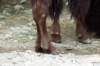 bdq010038_small.jpg
